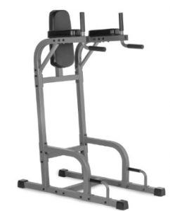 XMark-Vertical-Knee-Raise-with-Dip-Station